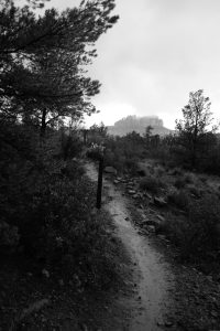 Black and white view of a rocky, muddy path heading up to the left with rock formations in the distance.