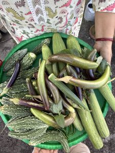 A green basket filled with a variety of fresh vegetables, including long green zucchinis, dark green ridged gourds, slender eggplants, and leafy greens, held by a person wearing a patterned dress.