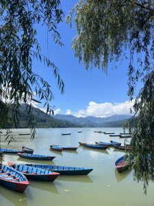 

A serene landscape featuring a tranquil Fewa lake surrounded by lush greenery and distant mountains.