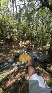 A person is holding a bowl of yellow noodles with a red ingredient in it, positioned in front of a small stream surrounded by lush green trees and rocks