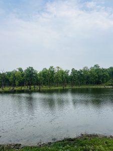 
A tranquil scene of a serene lake surrounded by lush green trees.