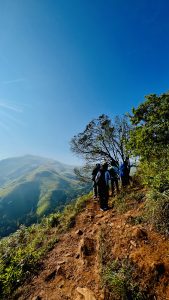 
A group of hikers is walking along a narrow dirt trail bordered by lush greenery and a few rocks.