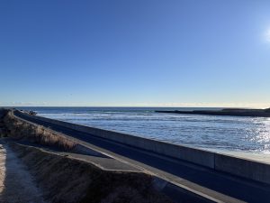 
A serene coastal view featuring a calm ocean under a clear blue sky
