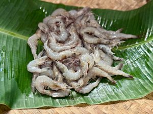 Fresh raw prawns are neatly placed on a green banana leaf in Perumanna, Kozhikode, highlighting local seafood and traditional food preparation. 