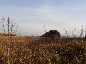 A remote island landscape with tall dry grasses in the foreground and a small green hill in the background.