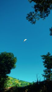A clear blue sky with a single paraglider soaring above, surrounded by green trees on both sides.