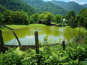 A small, peaceful lake in a forest near a rural house in Poonel, Gilan Province, with calm reflective water surrounded by dense green trees.