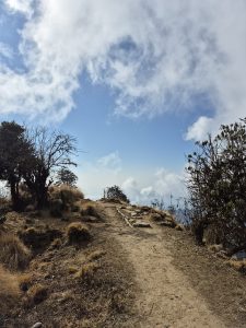 
A narrow dirt path winds through a grassy landscape, leading towards an open area beneath a blue sky partially covered with wispy clouds.
