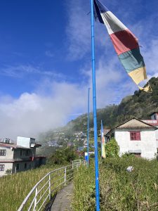 A scenic view of a pathway lined with green grass leading towards houses on a hillside. There are two colorful flags on poles beside the path, fluttering in the breeze