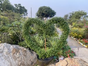 
A heart-shaped hedge made of lush green foliage stands amidst a vibrant garden. Surrounding the hedge are various plants, trees, and flower beds, with a clear path running through the garden.