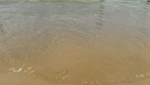 
A close-up view of a sandy beach where the water is gently lapping at the shore.