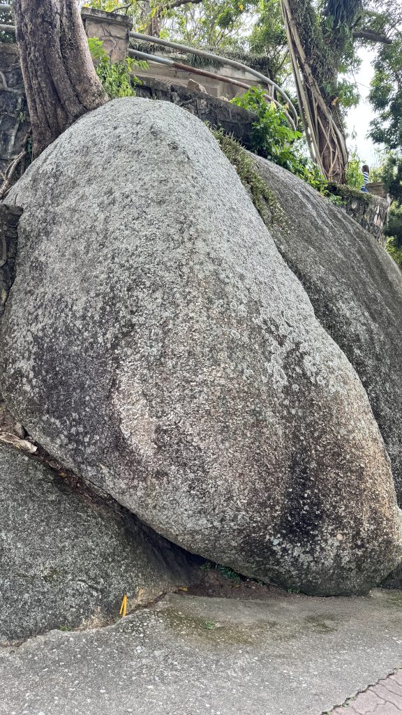A large, weathered rock is situated next to a concrete pathway, partially covered with green moss and plants.