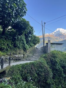 A stone pathway leads up a hill, flanked by lush greenery and trees. On the right, there is a weathered stone wall and a simple building with a metal roof. In the background, snow-capped mountains rise against a clear blue sky