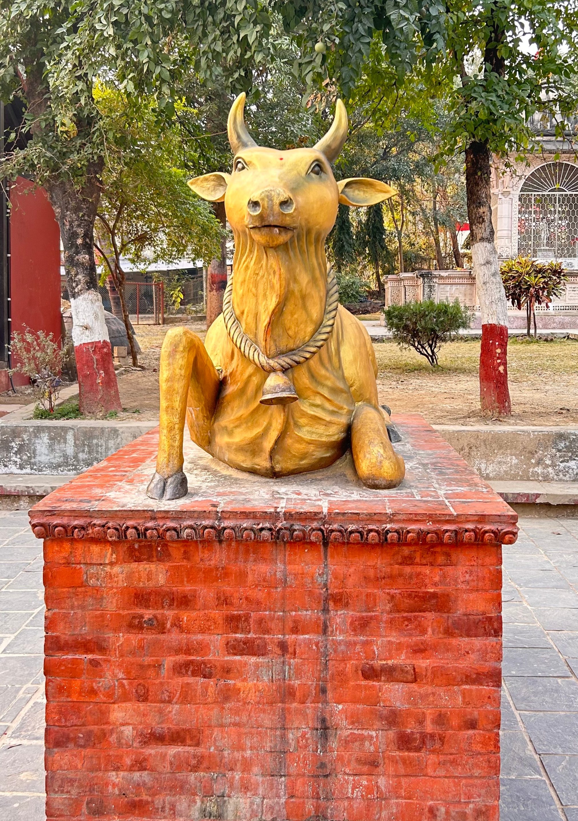 A golden statue of a cow sits on a red brick pedestal. The cow is positioned with its front legs folded beneath it, facing forward