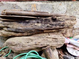 A stack of various pieces of wood, including thick logs and thinner bamboo-like stems, is resting against a textured gray wall