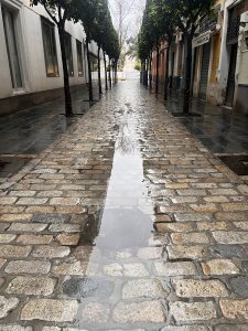 A street with puddles and trees on a rainy day with the horizon high above