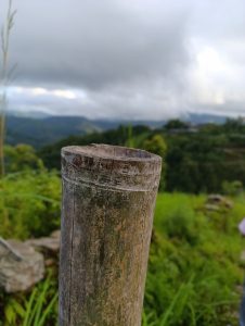 A close-up of a weathered wooden post with a rough surface, standing amidst lush greenery and rolling hills under a cloudy sky.
