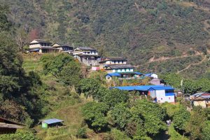 
A hillside village with traditional stone houses featuring sloped roofs, surrounded by lush greenery and trees. Some buildings have vibrant blue and pink elements, while colorful flowers adorn the area