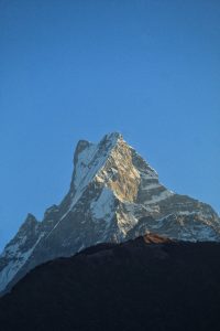


A snow-capped Fishtail mountain peak rises sharply against a clear blue sky.