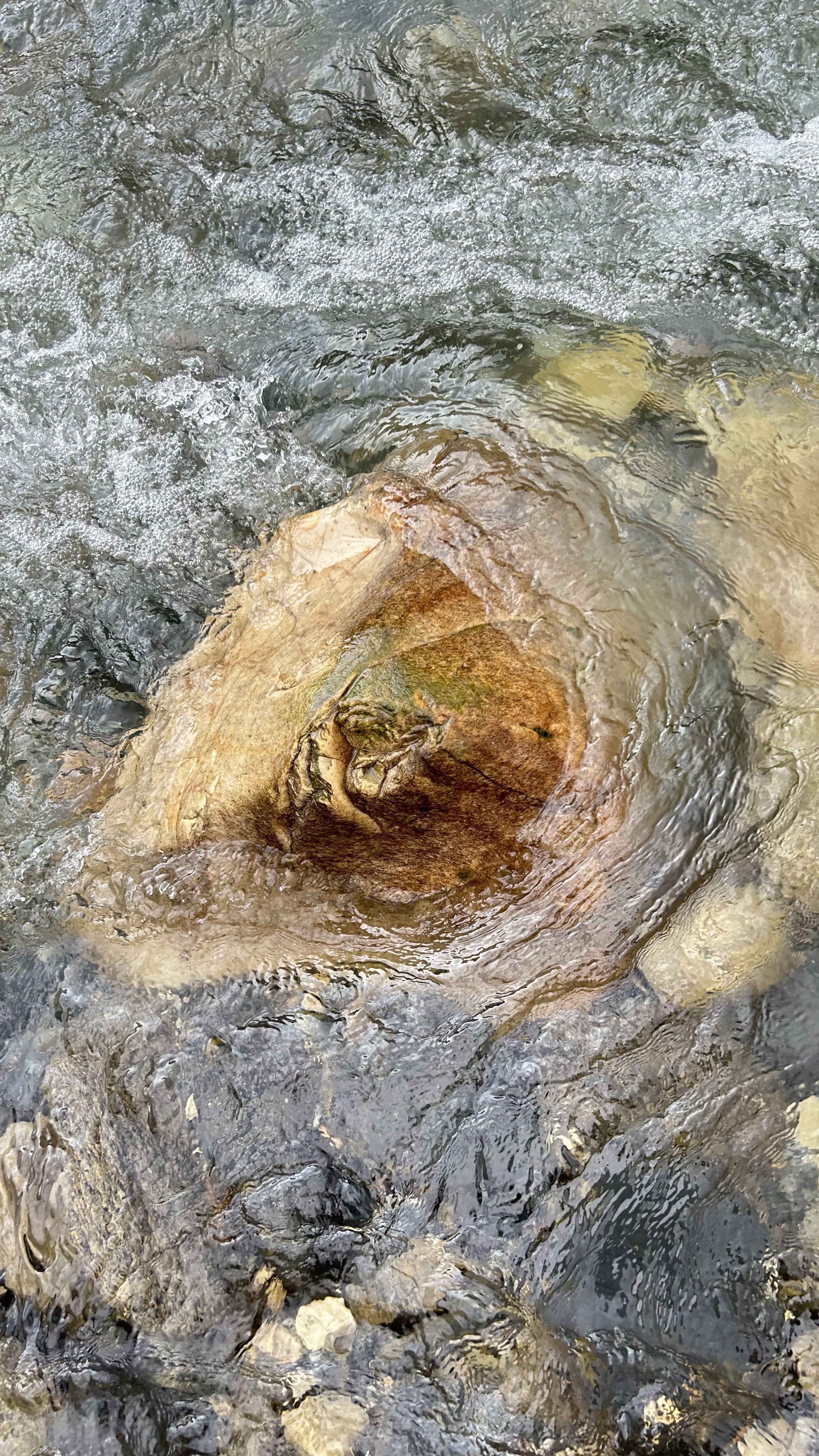 A close-up view of a stream with gently flowing water. In the center, a large rock is partially submerged, revealing a smooth, rounded surface that has a marbled texture with shades of brown and green.