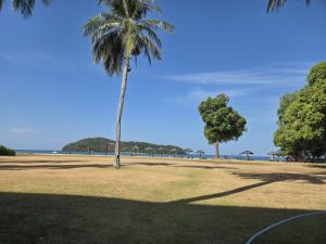 A sunny beach with a tall coconut tree on the left, calm blue water, a small green island in the distance, thatched umbrellas along the shore, and a clear blue sky with light clouds.