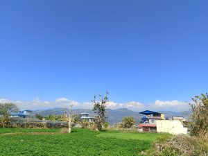 
A clear blue sky stretches above a landscape featuring distant snow-capped mountains