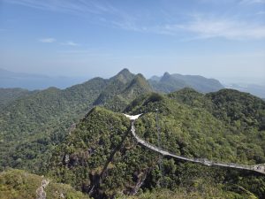 A panoramic view of lush green mountains under a clear blue sky. In the foreground, a long, curved pedestrian walkway extends over the treetops, leading to a striking, white, sail-like canopy structure.