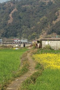A winding dirt path through green fields and yellow flowers, with people walking and a few buildings set against sunny rural hills.