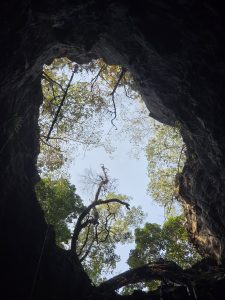 A view looking up from inside a cave, featuring rugged stone walls with a jagged opening at the top.
