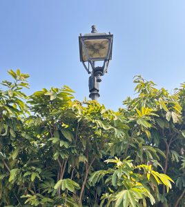 A tall, vintage-style street lamp stands against a clear blue sky. 