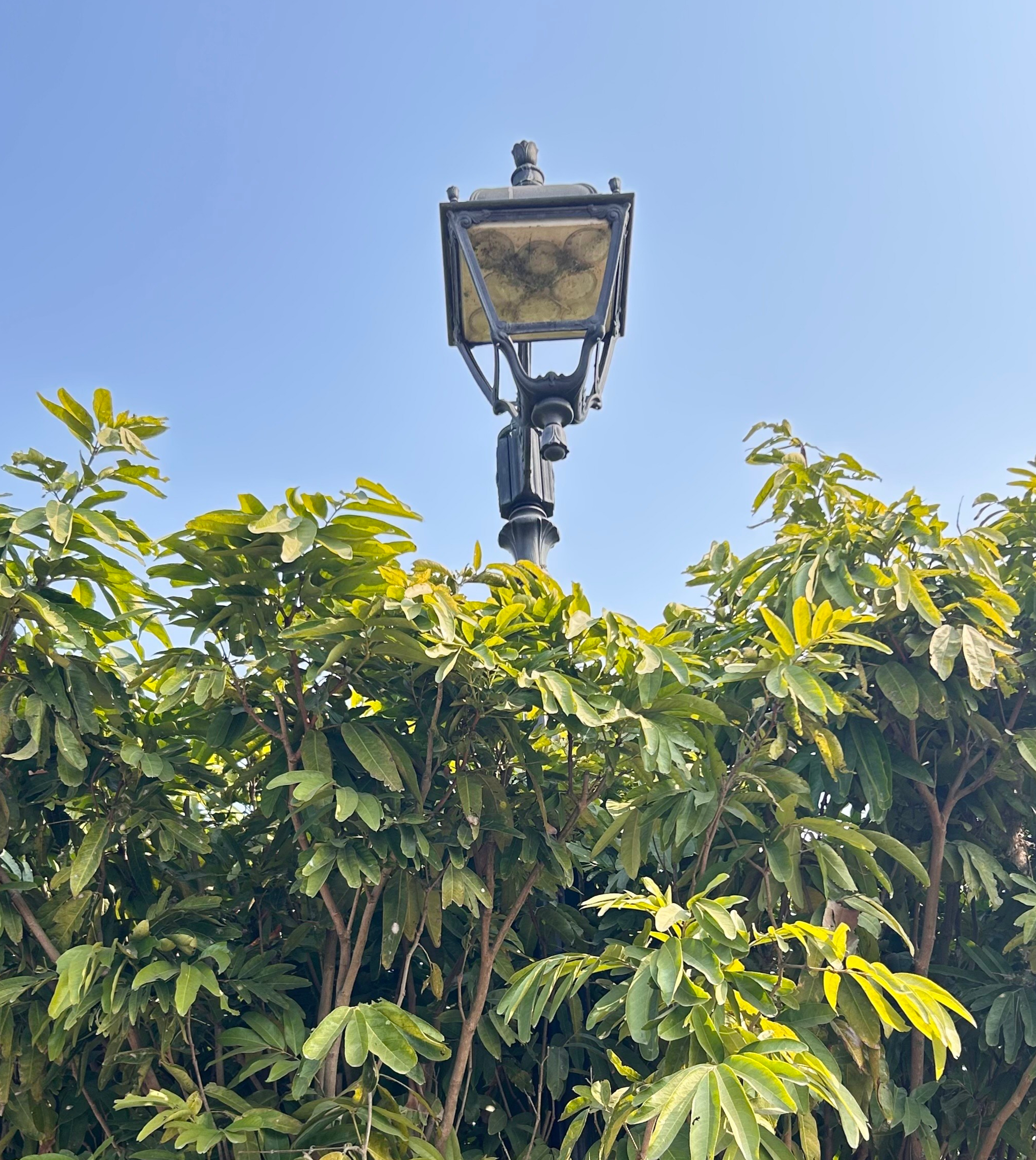 A tall, vintage-style street lamp stands against a clear blue sky.