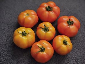 A mix of red and yellow freshly harvested tomatoes arranged neatly in Perumanna, Kozhikode, showing freshness and vibrant farm colours. 