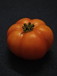 A fresh red tomato placed on a dark surface in Perumanna, Kozhikode, is simple and natural with rich colour and texture. 