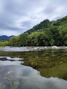 A calm river flows through a lush landscape, surrounded by green hills and trees under a cloudy sky. The water reflects the vibrant foliage and rocky riverbed, creating a serene and tranquil atmosphere.