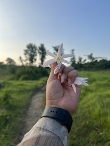 
A close-up of a hand holding a delicate white flower with a yellow center, against a backdrop of lush green grass and trees under a clear blue sky. 