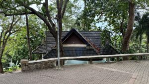 
A view of a sloped path leading to a house with a dark tiled roof partially obscured by surrounding trees. The house features a triangular gable and has patches of leaves on the roof. 