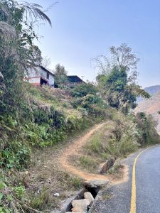 
A winding dirt path leads up a hillside, flanked by lush greenery and grass