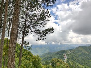 
A scenic view of mountainous terrain with lush green trees in the foreground. 