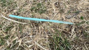 A bright blue plastic straw discarded on dry grass and sandy ground, highlighting the issue of coastal litter.
