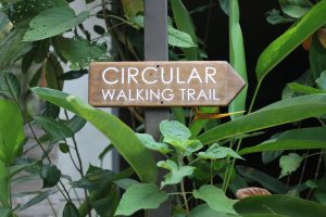 A wooden sign with the text "CIRCULAR WALKING TRAIL" written in white, pointing to the right. 