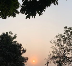 A bright orange sunrise behind dark trees, with city rooftops in the distance.