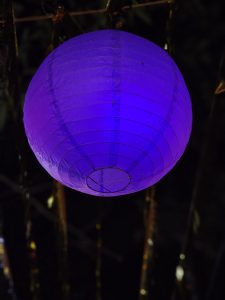 A glowing purple paper lantern hangs at night in Manakadavu, Kozhikode, casting a soft, festive light against a dark background.