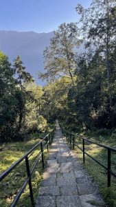 A stone pathway lined with black railings winds through a lush, green forest. 