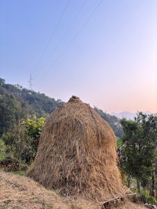 A large haystack sits on a hillside, surrounded by lush greenery and trees. In the background, there are mountains and a clear blue sky with power lines crossing overhead. 