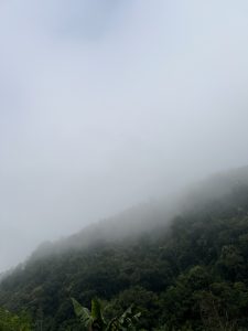 A misty mountainous landscape is depicted, with dense green foliage covering the slopes. 