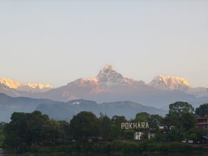 A scenic view of snow-capped fishtail (machapuchare) mountains bathed in early morning light, with soft pink and golden hues on the peaks.