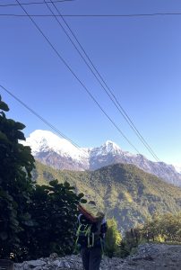 A person with a backpack is walking along a gravel path, surrounded by lush greenery and large leafy plants.