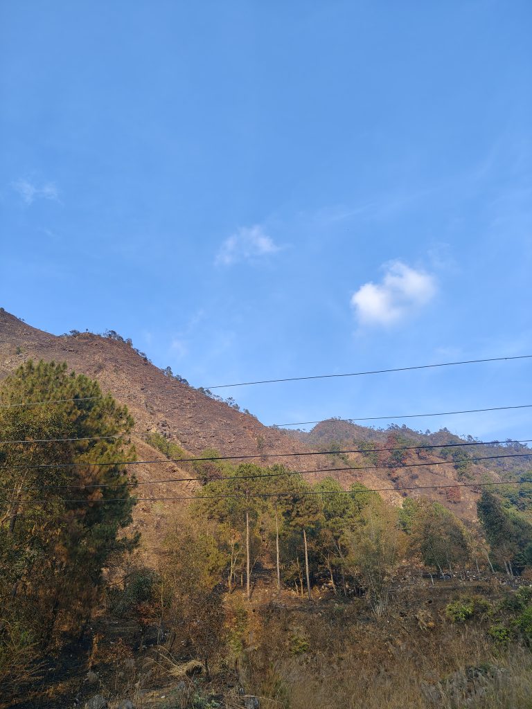 A scenic landscape featuring a steep, rocky hillside with patches of green trees and vegetation.