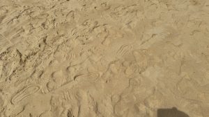 Various human footprints and shoe patterns pressed into the soft, dry sand of a sunny beach.