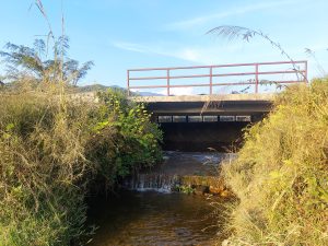 
A concrete bridge spans over a small stream, with a low railing along the top. Surrounding the bridge are patches of tall grass and shrubbery, with some greenery creeping towards the water's edge
